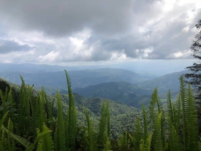 1715 อุทยานแห่งชาติดอยภูคา
