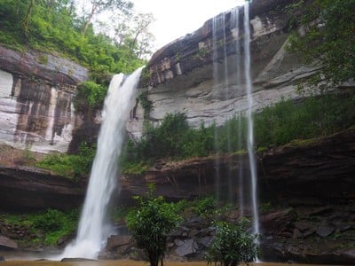 อุทยานแห่งชาติภูจองนายอย