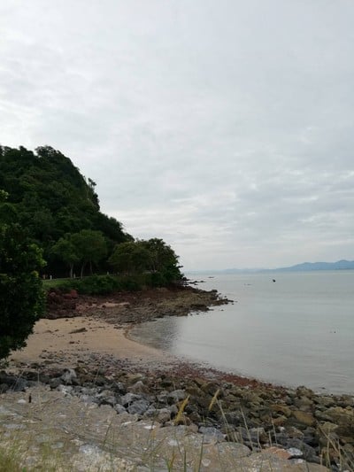 สระว่ายน้ำ/ชายหาด