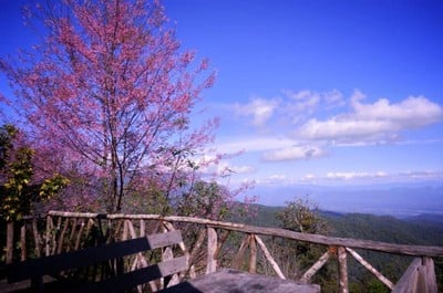 สถานีวิจัยเกษตรที่สูงสันป่าเกี๊ยะ