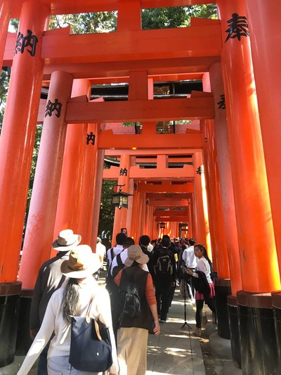 Torii Gate ฝั่งเดินขึ้นเขา