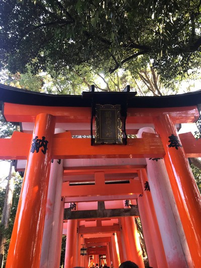 Torii Gate (เสาแดง)
