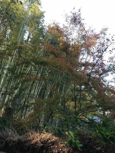Japan 5 Days 3 Regions ความรู้สึกครบทั้งแบบโบราณและสมัยใหม่