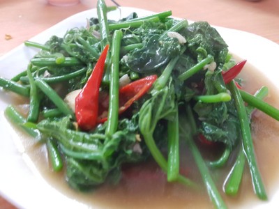 ยอดมะระผัดน้ำมันหอย