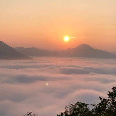 ภูทอก