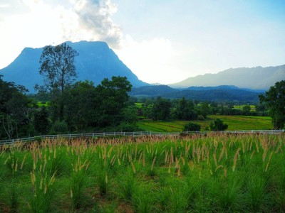 บริเวณโดยรอบ