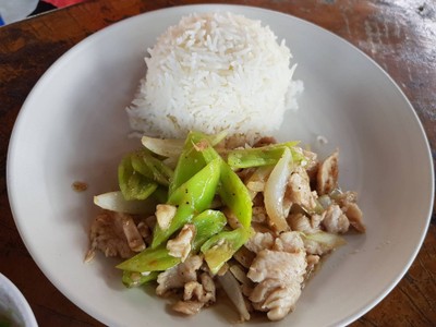ผัดพริกอ่อนไก่