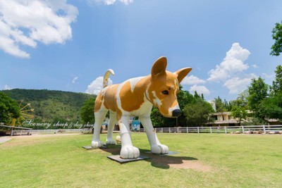 บรรยากาศ The Scenery Vintage Farm