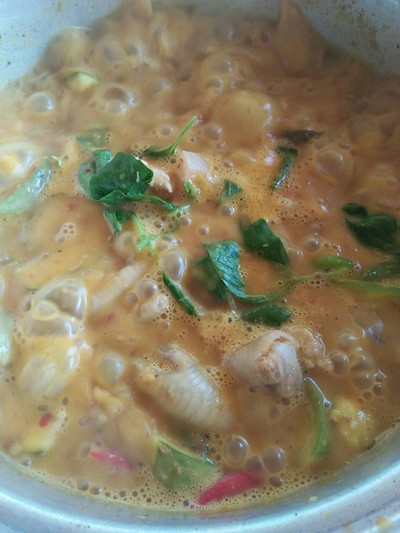 วิธีทำ แกงกระทิมะเขือเปาะใส่ตรีน..ไก่