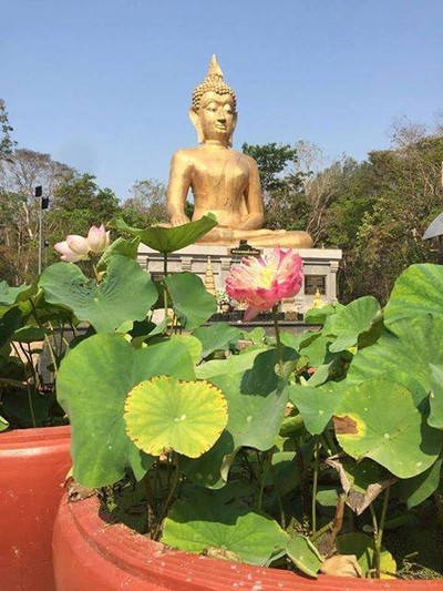 บรรยากาศ พระมงคลมิ่งเมือง