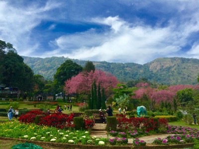 ศูนย์วิจัยเกษตรหลวงเชียงใหม่ (ขุนวาง)