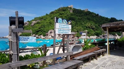 จุดดำน้ำ เกาะนางยวน