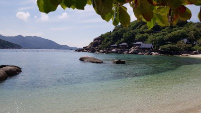 จุดดำน้ำ เกาะนางยวน