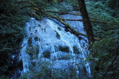 🎒เชียงใหม่ 3 วัน 2 คืน แบบไม่มีรถเพราะขับไม่เป็น