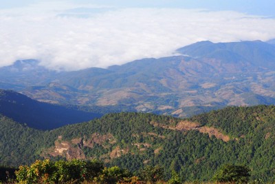 🎒เชียงใหม่ 3 วัน 2 คืน แบบไม่มีรถเพราะขับไม่เป็น