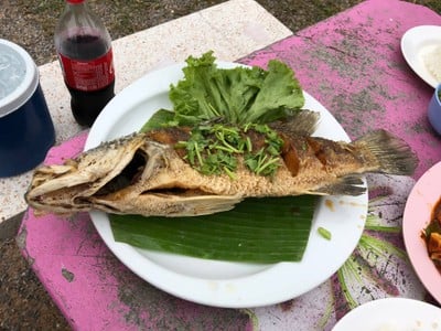ปลากระพงทอดน้ำปลา