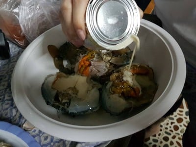 วิธีทำ ปูไข่นึ่งนมสดอร่อยง่ายกว่าที่คิด วิธีทำ ปูไข่นึ่งนมสดอร่อยง่ายกว่าที่คิด