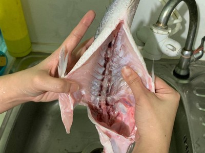 วิธีทำ ปลากะพงนึ่งมะนาว วิธีทำ ปลากะพงนึ่งมะนาว