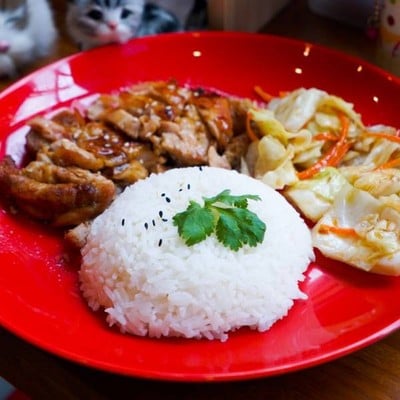 เมนูของร้าน ชานมไข่มุก เเละบิงซู Dai Yu โชติวิทยะกุล 2