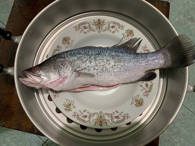 วิธีทำ ปลากะพงนึ่งมะนาว วิธีทำ ปลากะพงนึ่งมะนาว