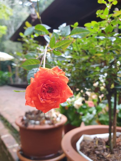 บรรยากาศ