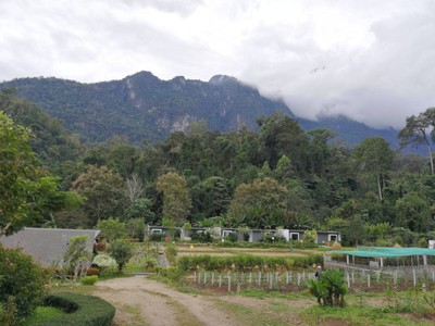 บริเวณโดยรอบ