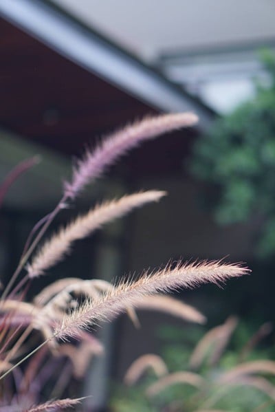 บริเวณโดยรอบ