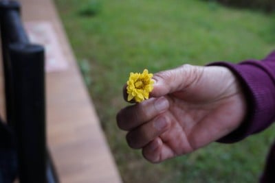 บริเวณโดยรอบ