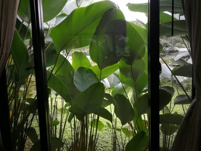 บริเวณโดยรอบ