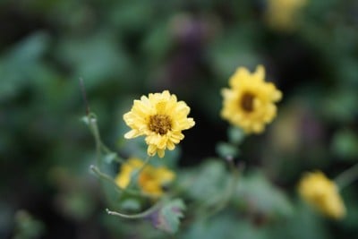 บริเวณโดยรอบ