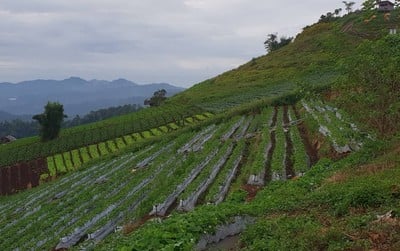 บรรยากาศ ม่อนวิวงาม