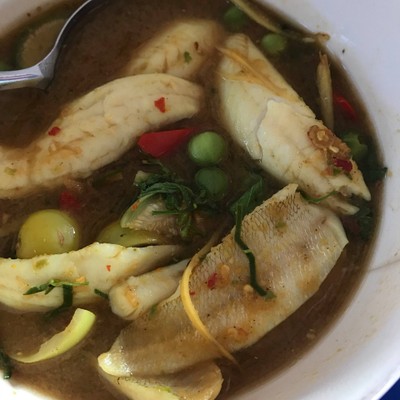 แกงป่าปลาทราย