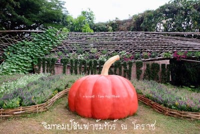 รูป Jim Thompson Farm