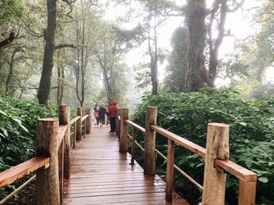 อุทยานแห่งชาติดอยอินทนนท์