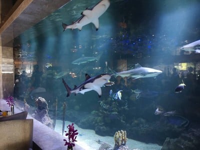 บรรยากาศ oceana Centara Grand Phratamnak Pattaya