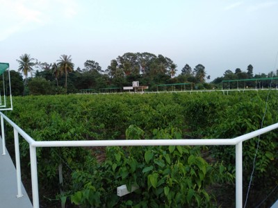 บรรยากาศ