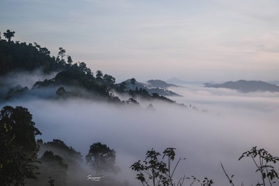'เลหมอกเขาไข่นุ้ย' พังงา