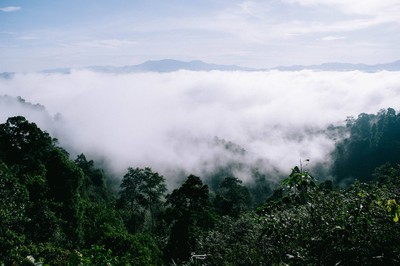 'เลหมอกเขาไข่นุ้ย' พังงา