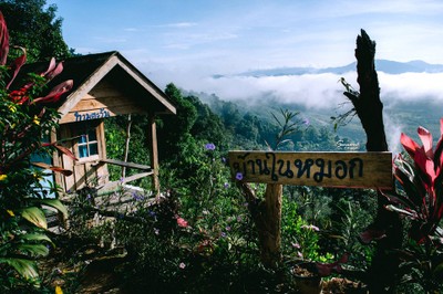 'เลหมอกเขาไข่นุ้ย' พังงา