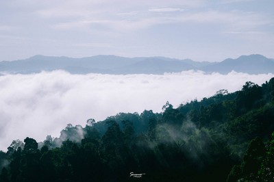 'เลหมอกเขาไข่นุ้ย' พังงา