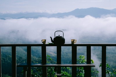 'เลหมอกเขาไข่นุ้ย' พังงา