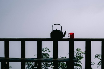 'เลหมอกเขาไข่นุ้ย' พังงา