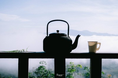 'เลหมอกเขาไข่นุ้ย' พังงา