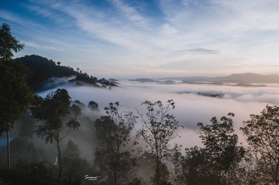 'เลหมอกเขาไข่นุ้ย' พังงา