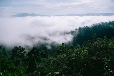 'เลหมอกเขาไข่นุ้ย' พังงา
