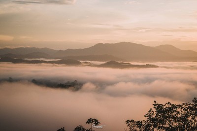 'เลหมอกเขาไข่นุ้ย' พังงา