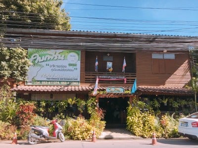 หน้าร้าน ใบเฟิร์น