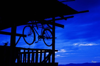 'เลหมอกเขาไข่นุ้ย' พังงา