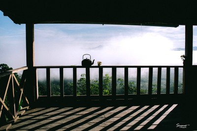 'เลหมอกเขาไข่นุ้ย' พังงา