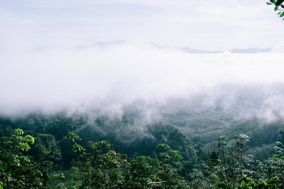 'เลหมอกเขาไข่นุ้ย' พังงา